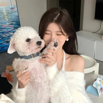 交响情人梦配图